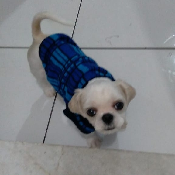 Marley Lety e Maiara 