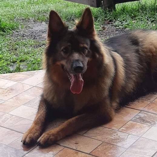 Bella Talita/ Felipe 
