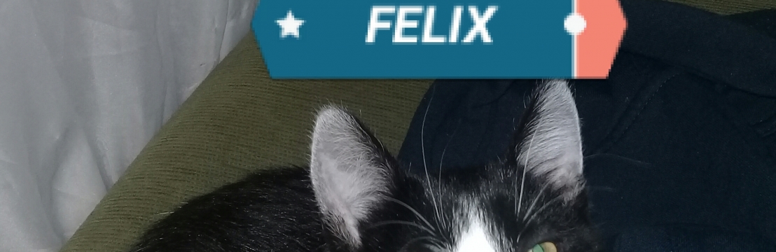 FELIXFare