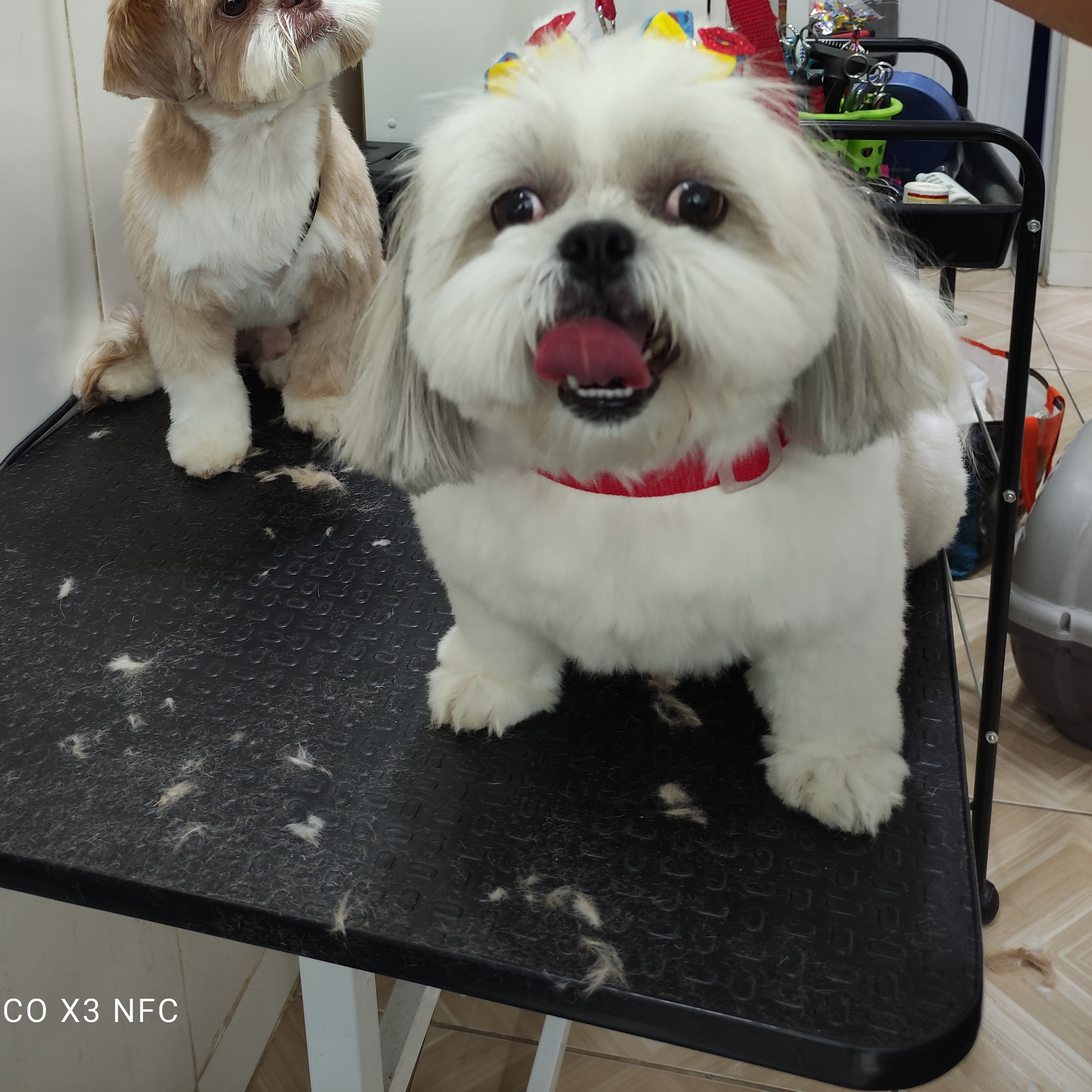 Jully Diogo e Lili
