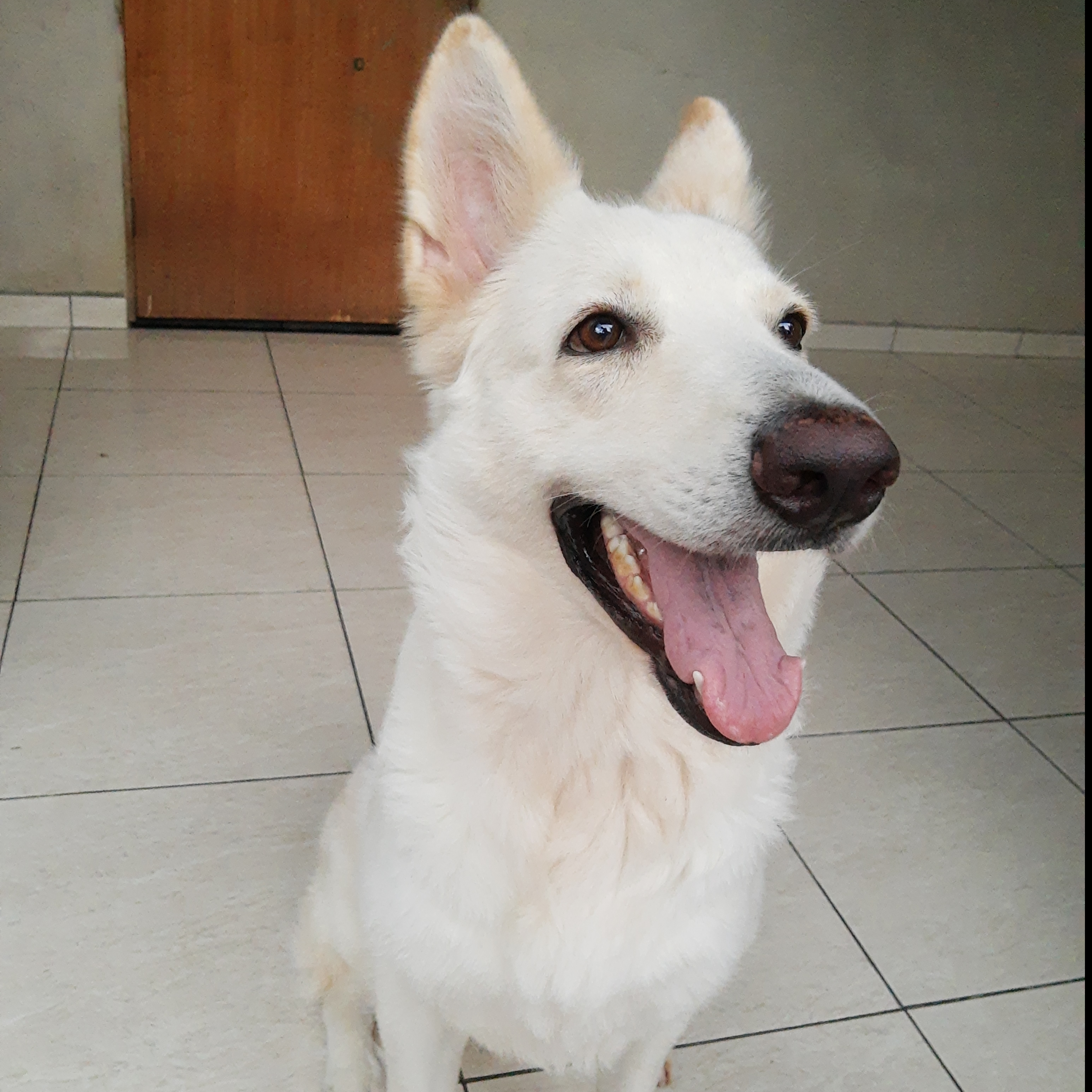 KIARA Matheus Poggian