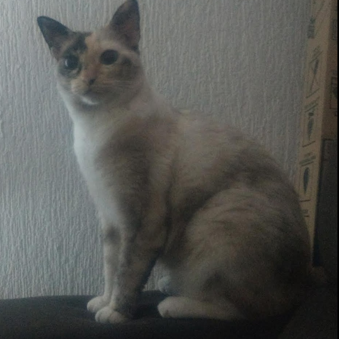 Nina Bianca