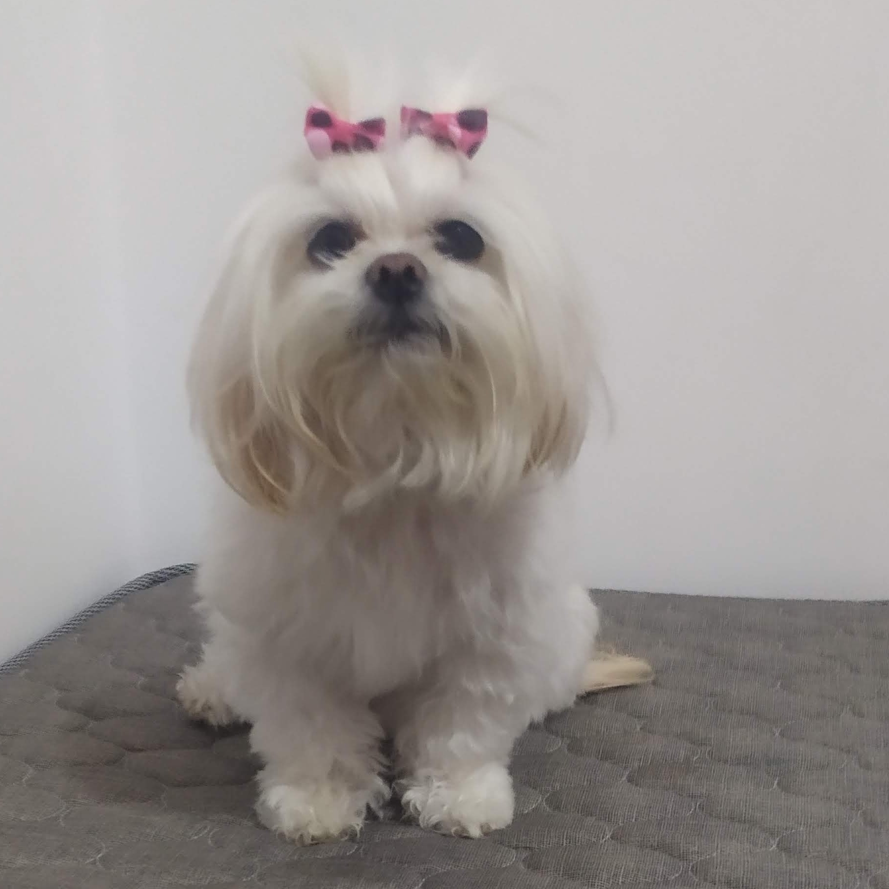 Babi. Babislene  Ravelli