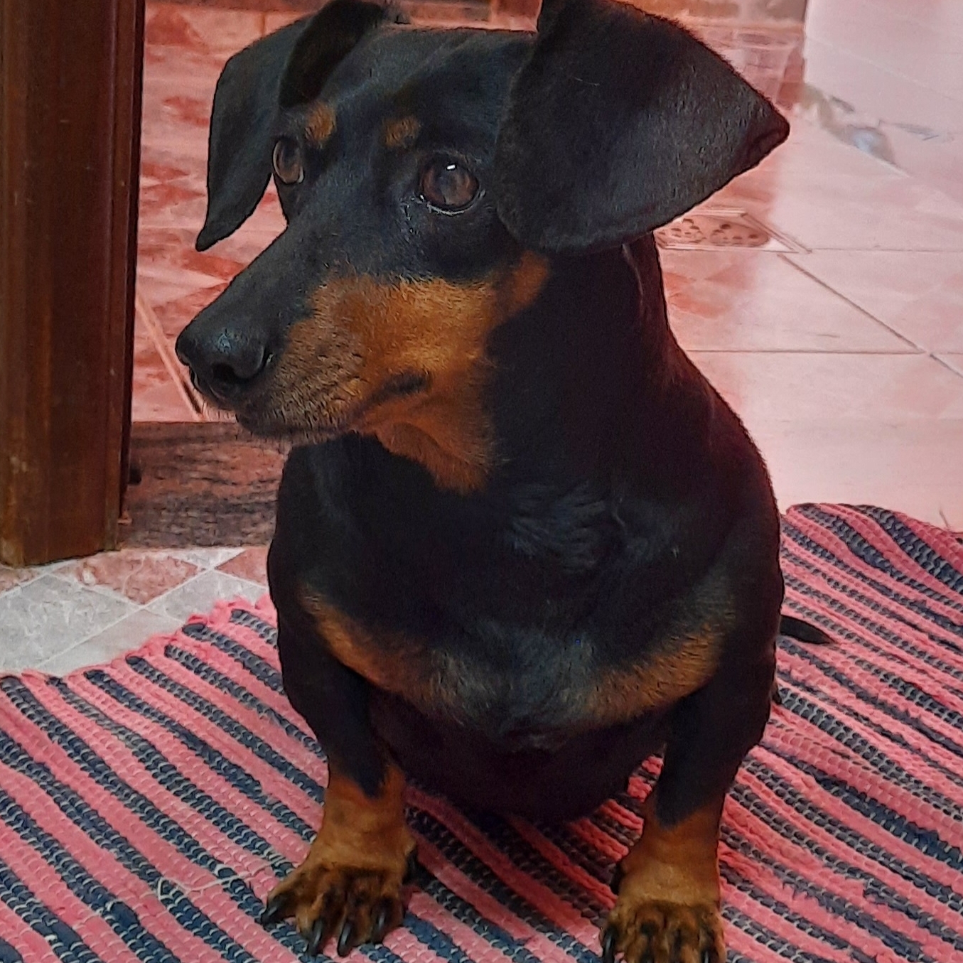 Preta Gil Murilo
