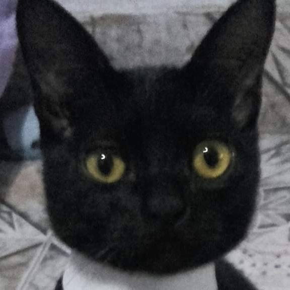 Rael  Beatriz Fernandes Da Silva 