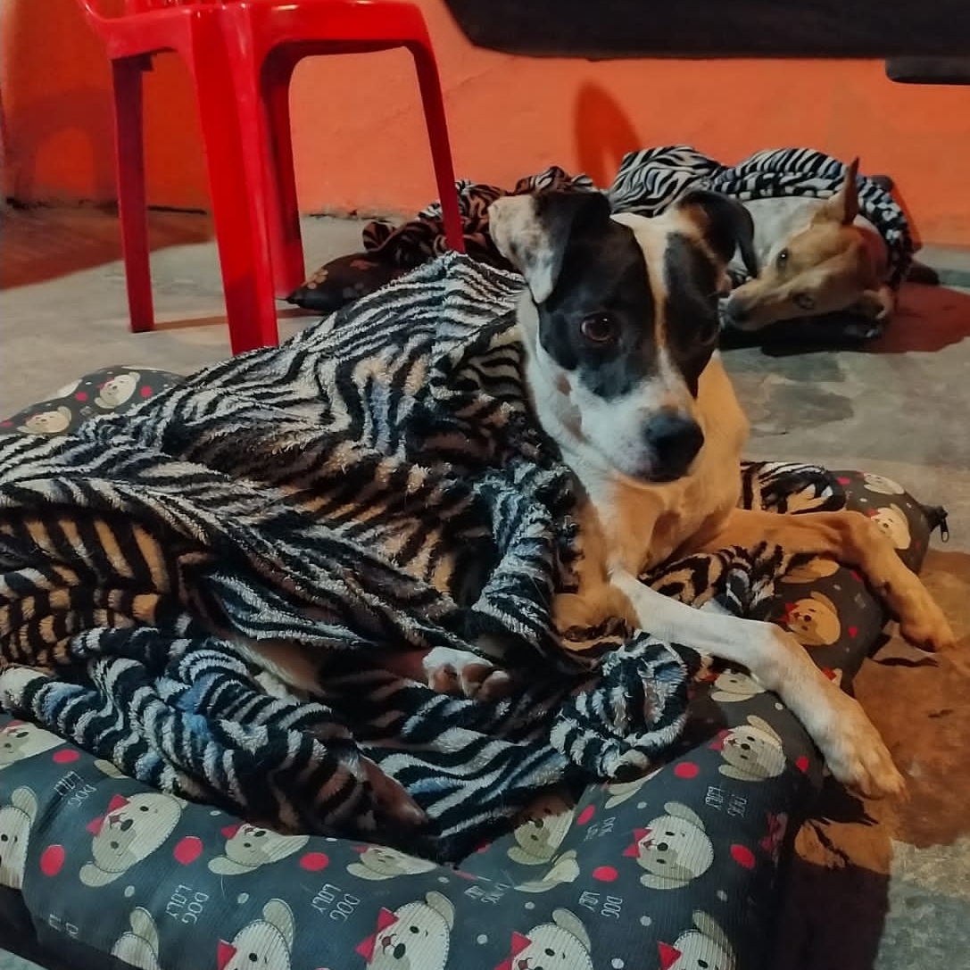 Pipoca Maíra e Paula