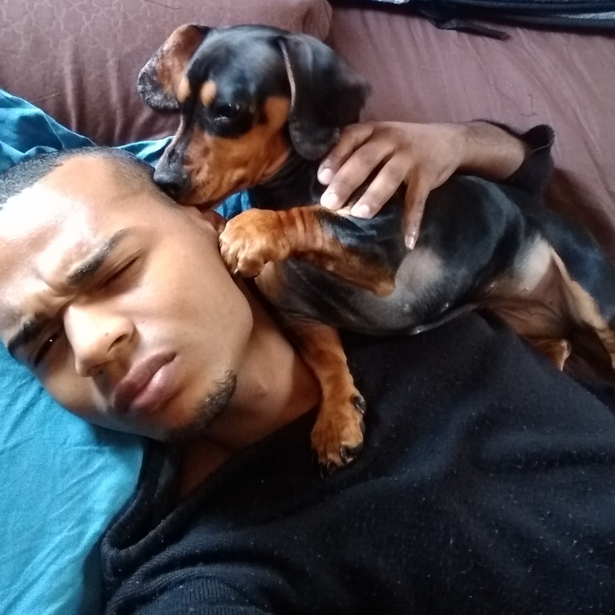 Nina Anderson Dos Reis Silva