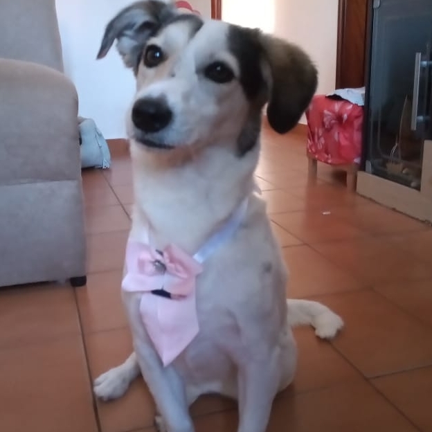 Belinha  Karen Cristina