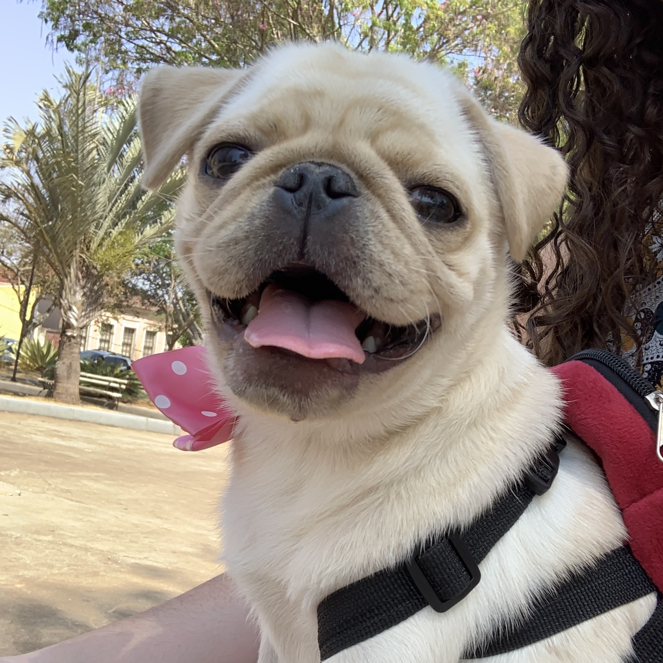 Chloe Brenda Noberto