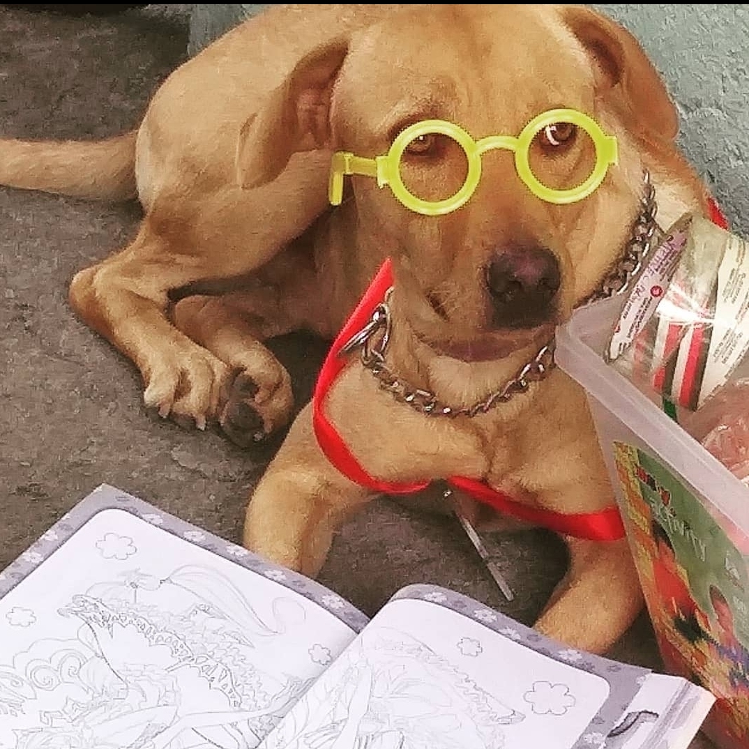Trovão Mencalha Pamella Mencalha