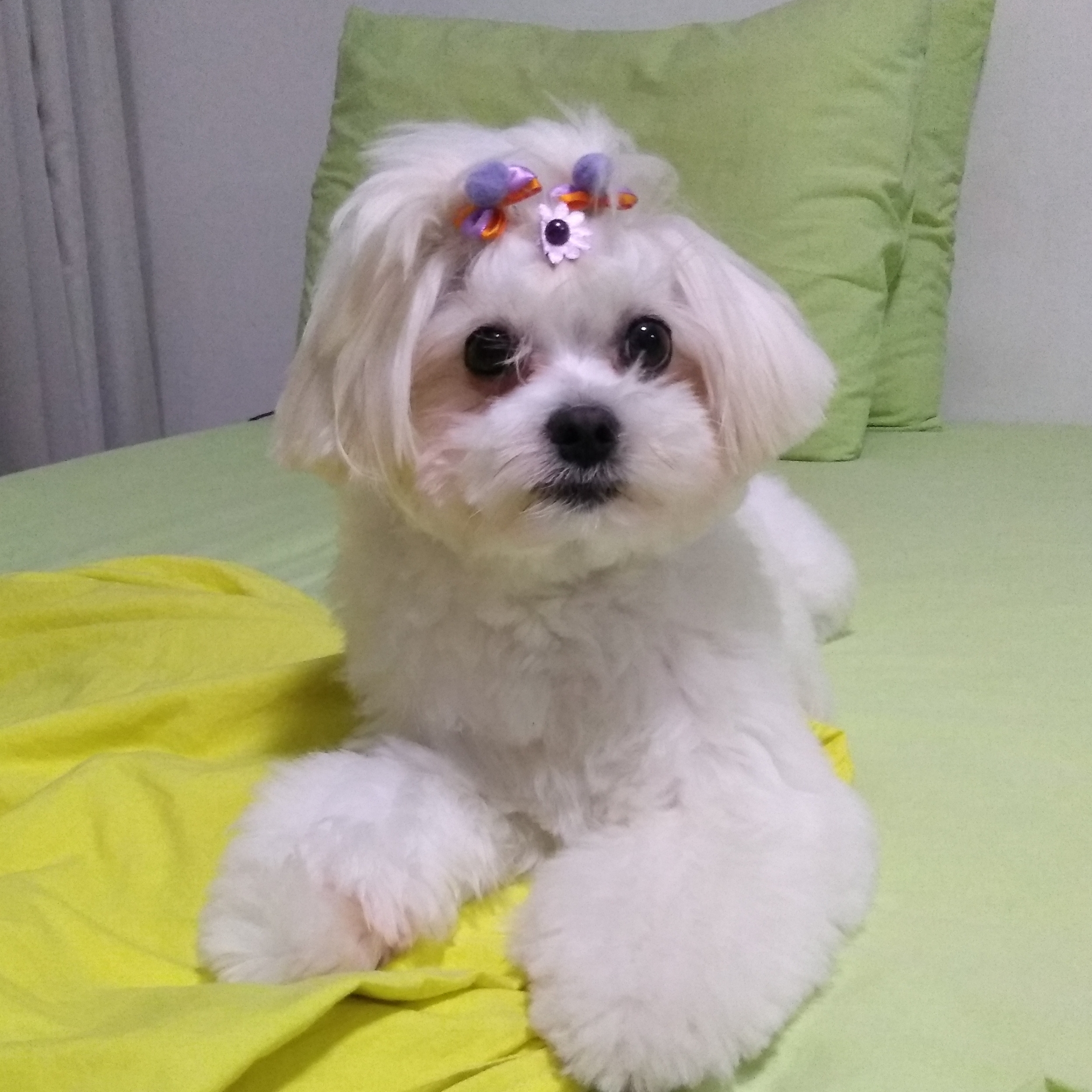 Estrela Michelle de Paula Farias