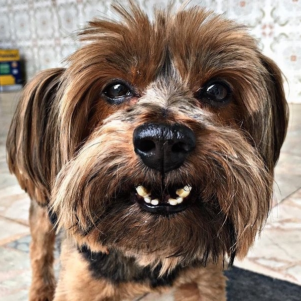 Teddy Marlon 