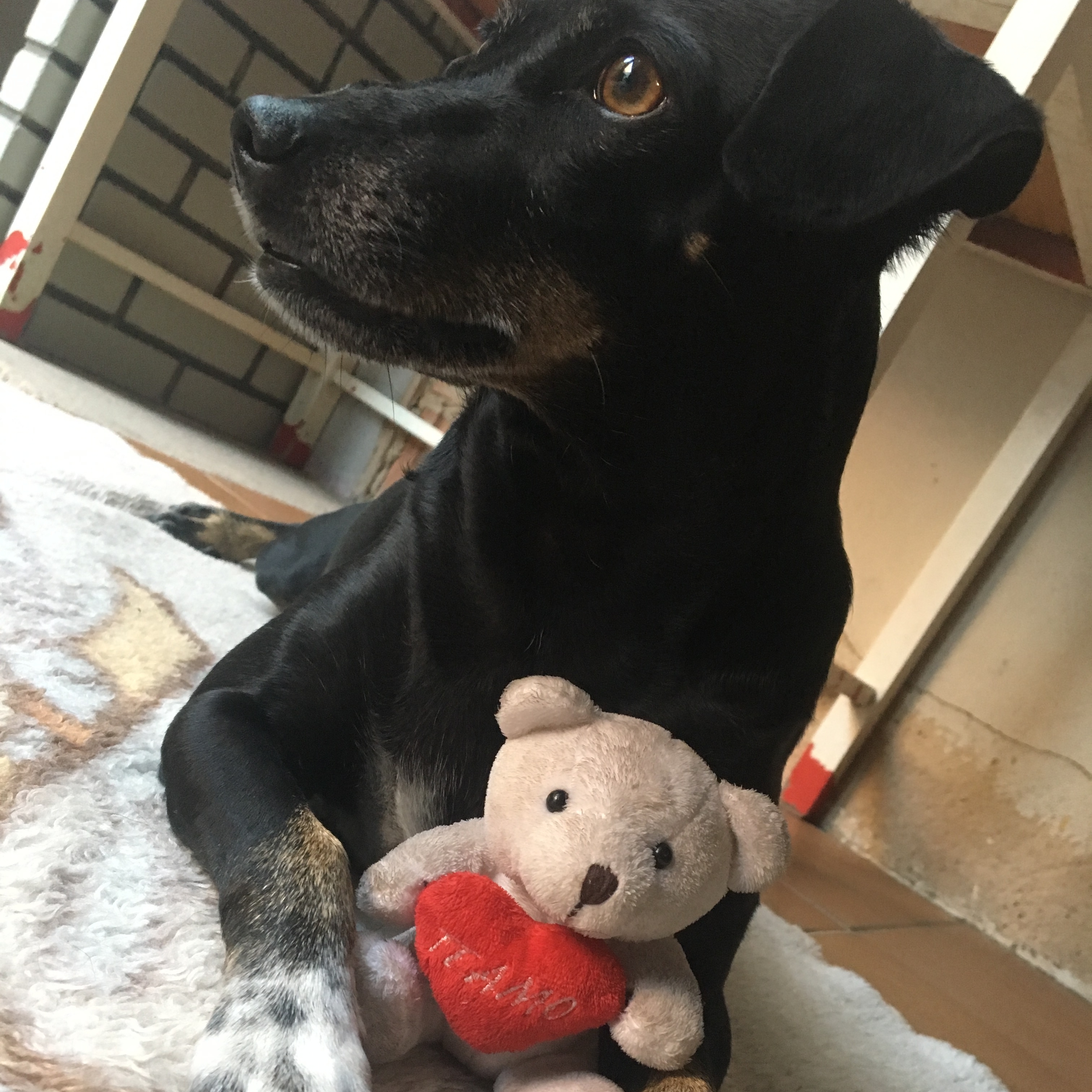 Meg Agnes Pinheiro da Silva