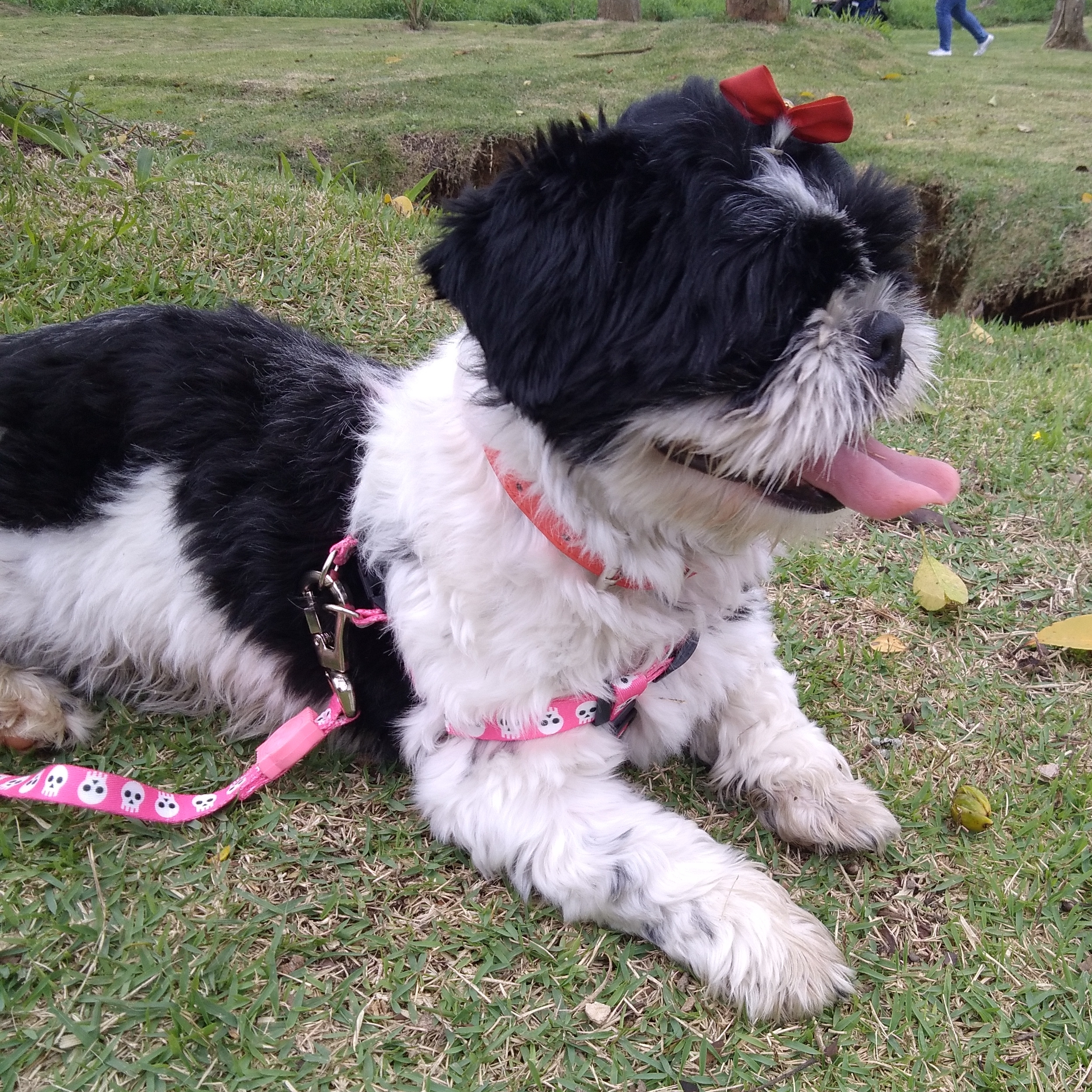 Milly Lilian brito