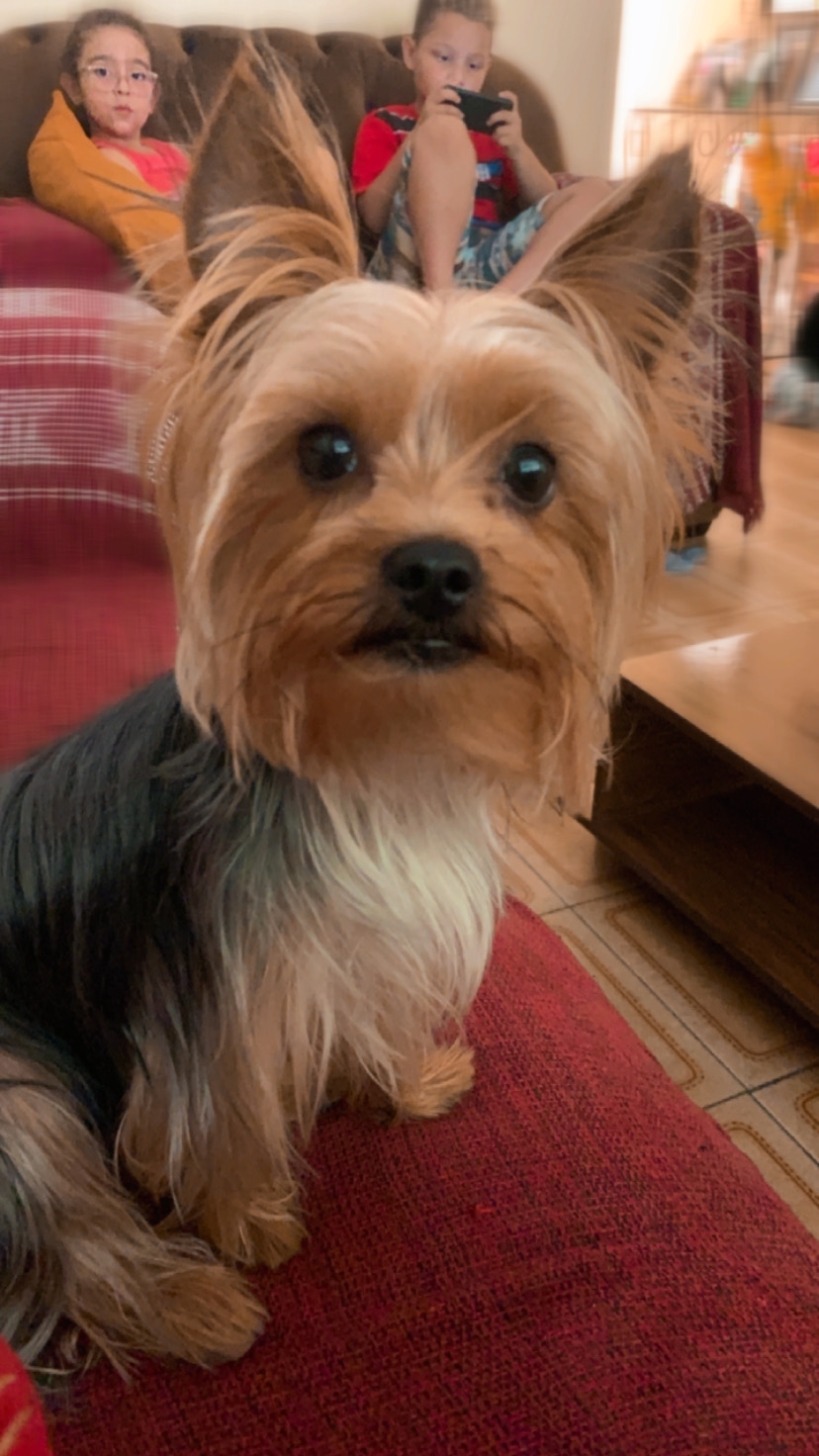 Thor Talita Gomes