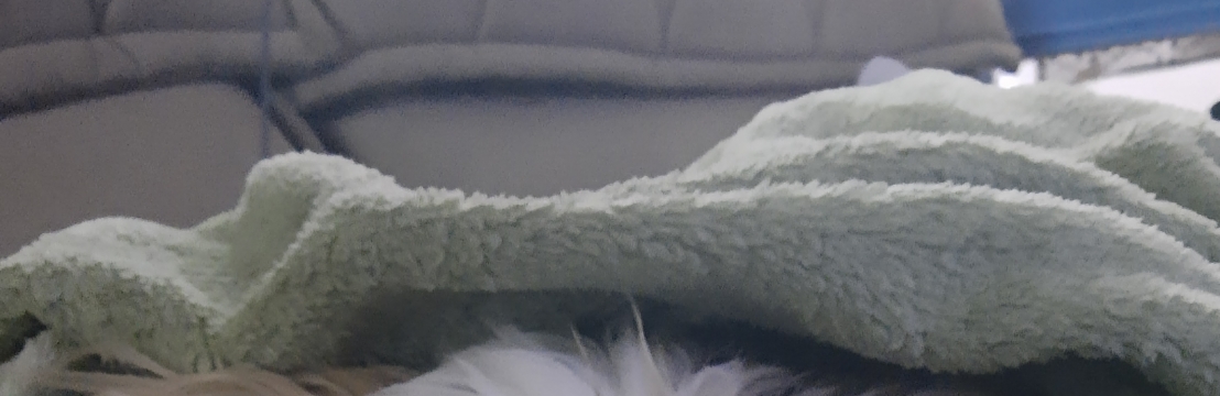 HappyJéssica 