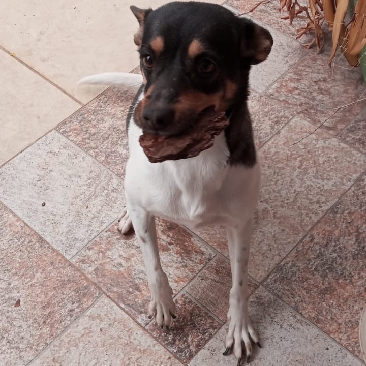 -Belinha Maria Teresa