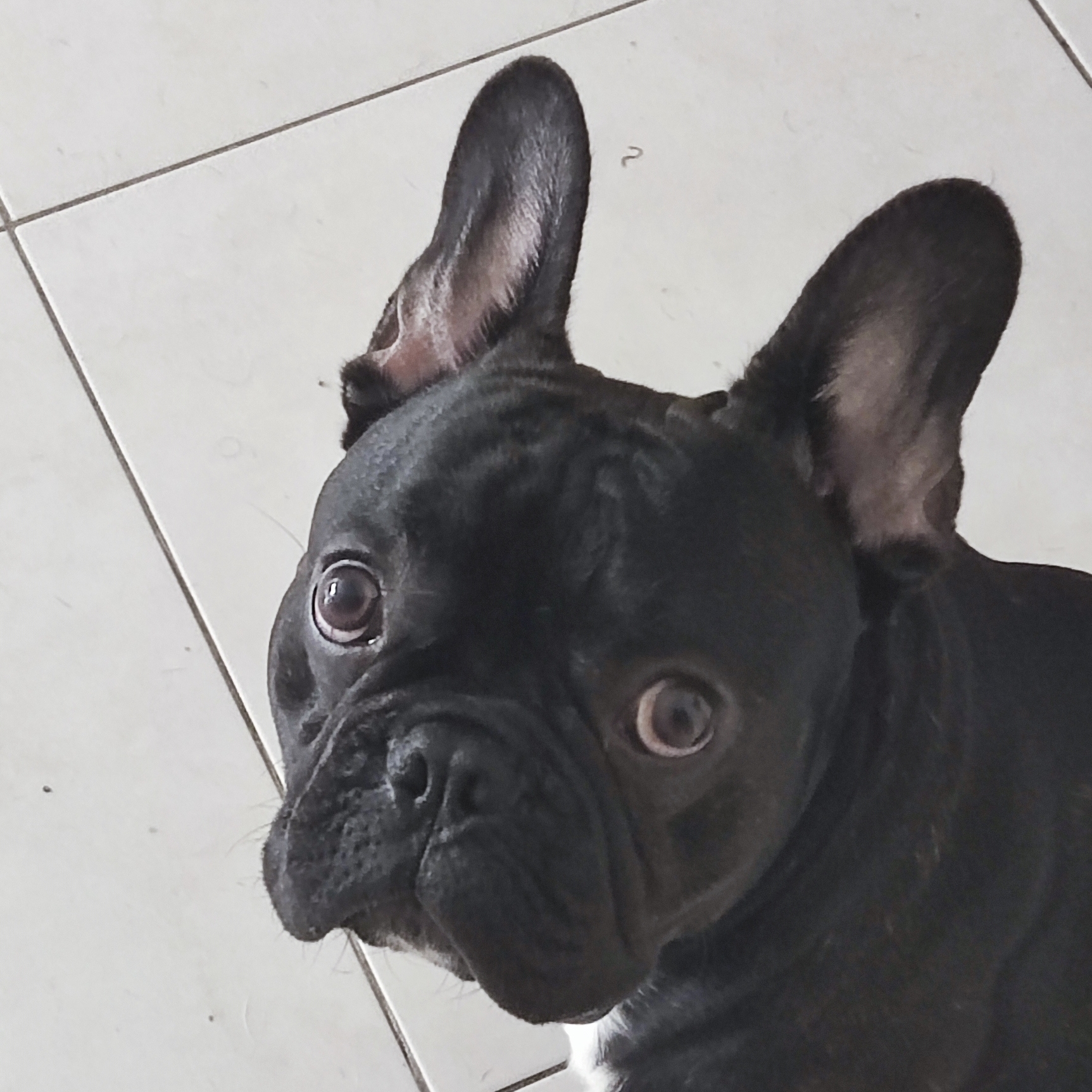 Valentino Henrique De Souza Fatobene