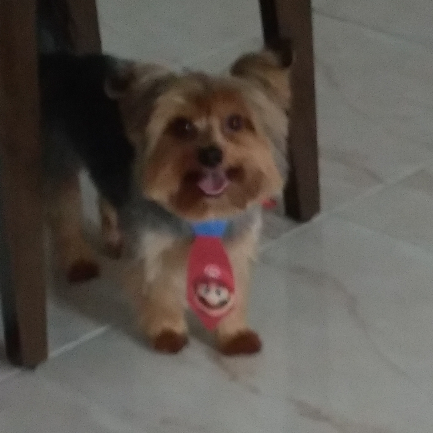 -Spot Maxmus Amorim Fabiana Amorim