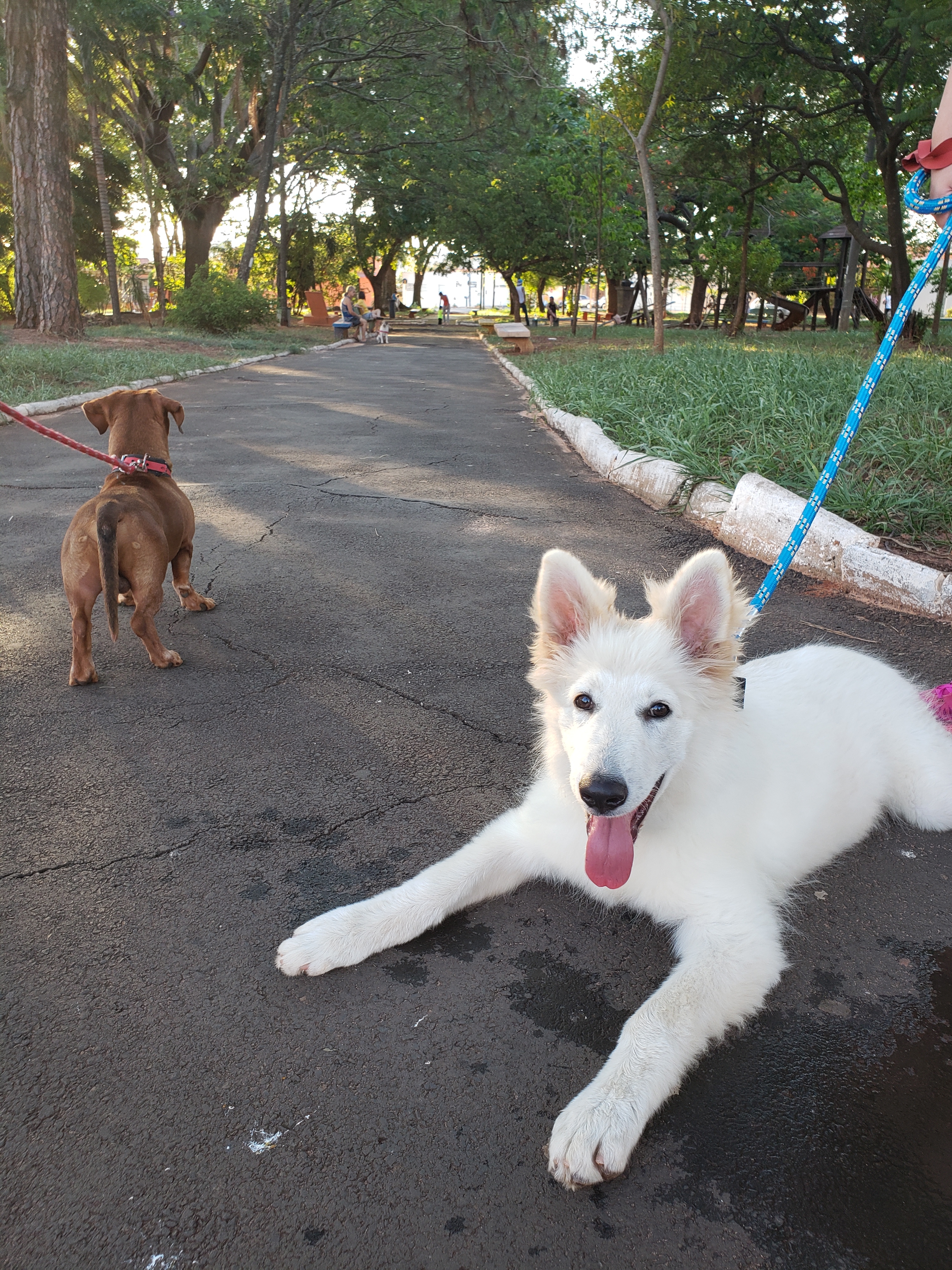 Zeus Luiz Felipe 