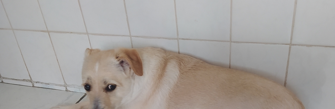 MarleyMurilo
