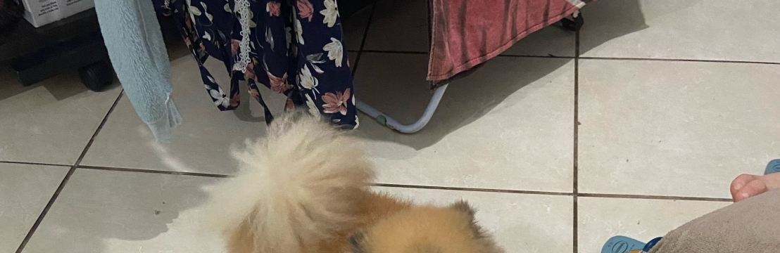 Zeus Jaqueline
