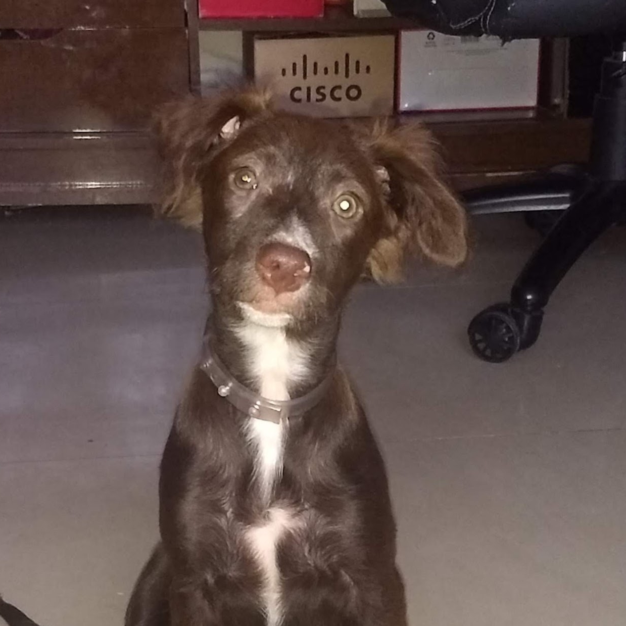 LUNA Ivanja Mária