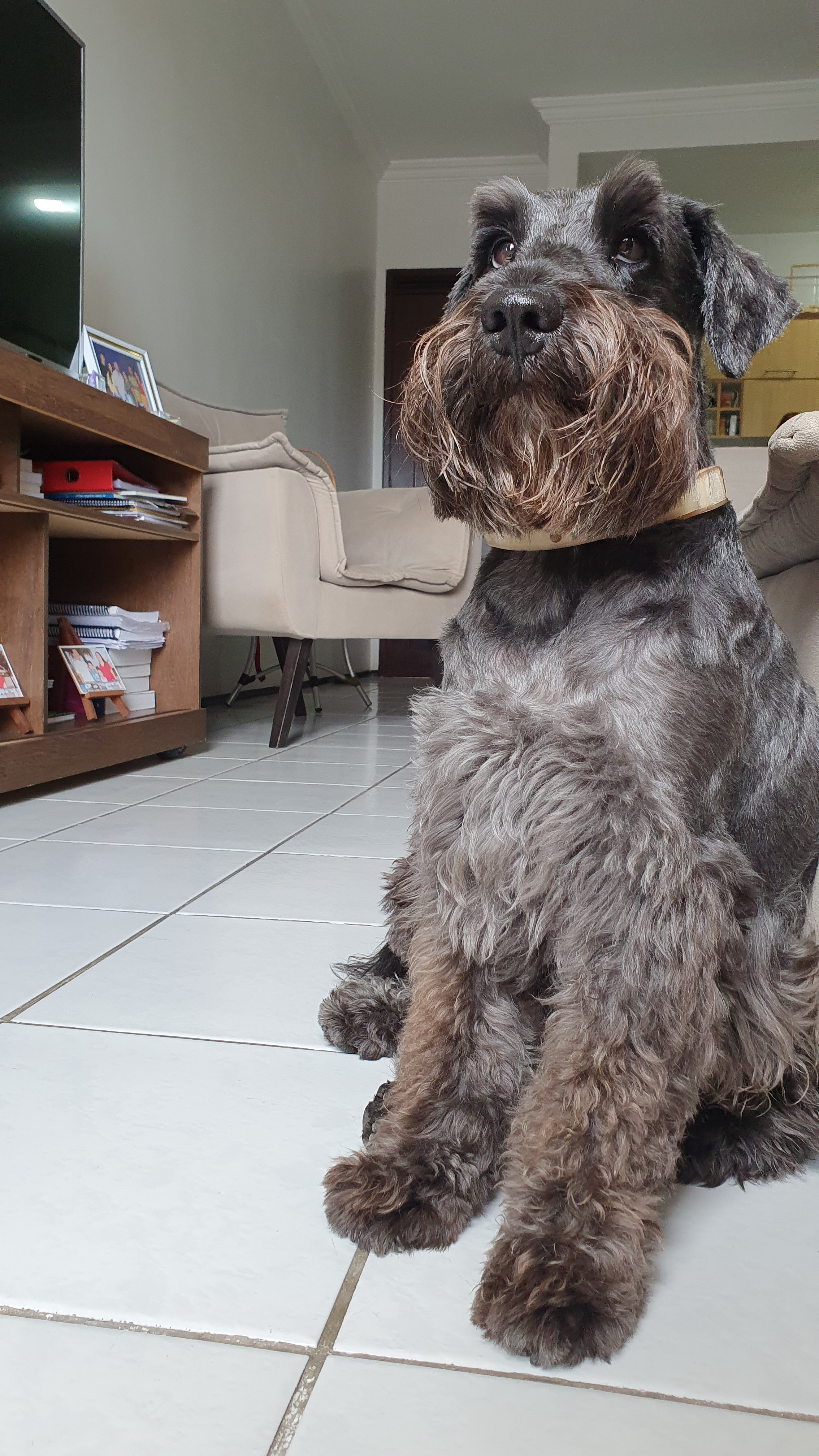 Floquinho Pedro