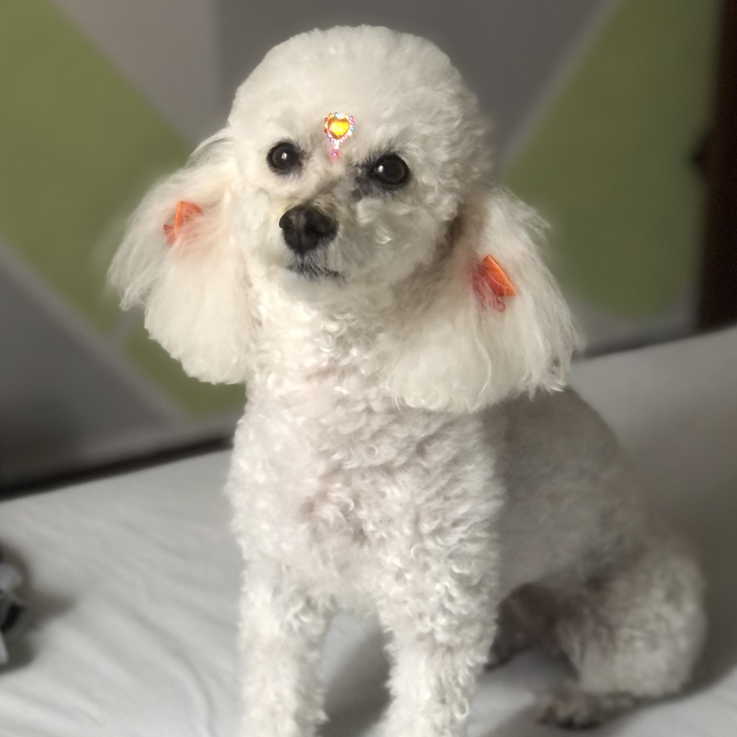 Maui Madalena Vitoria Salmazo