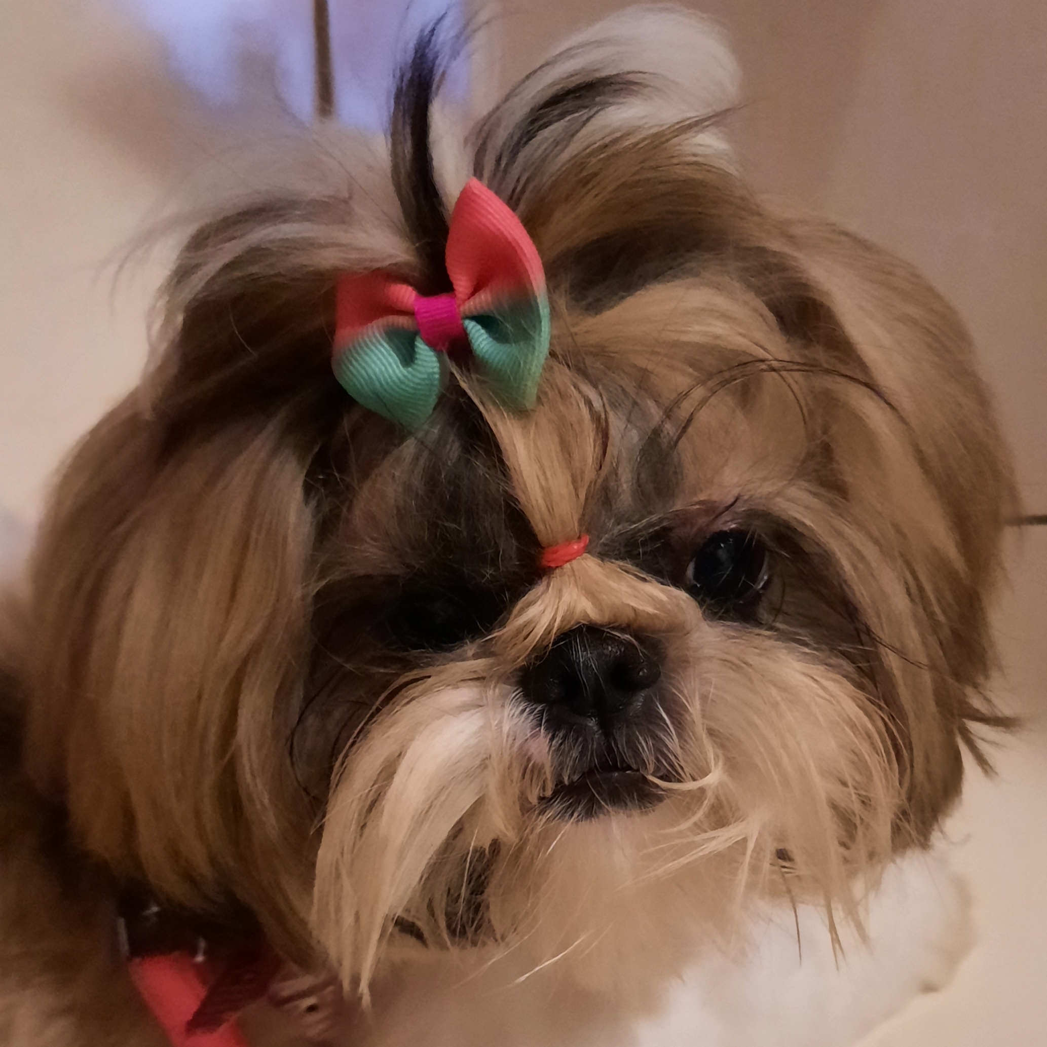 Zoey Tiago e Jessica