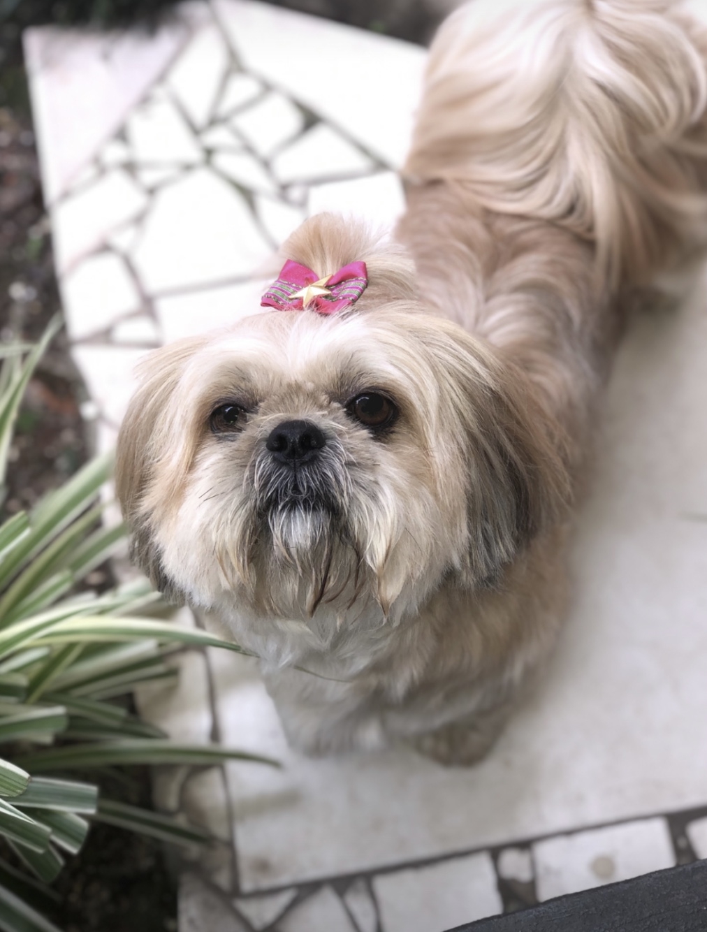 Belinha Gabriella 