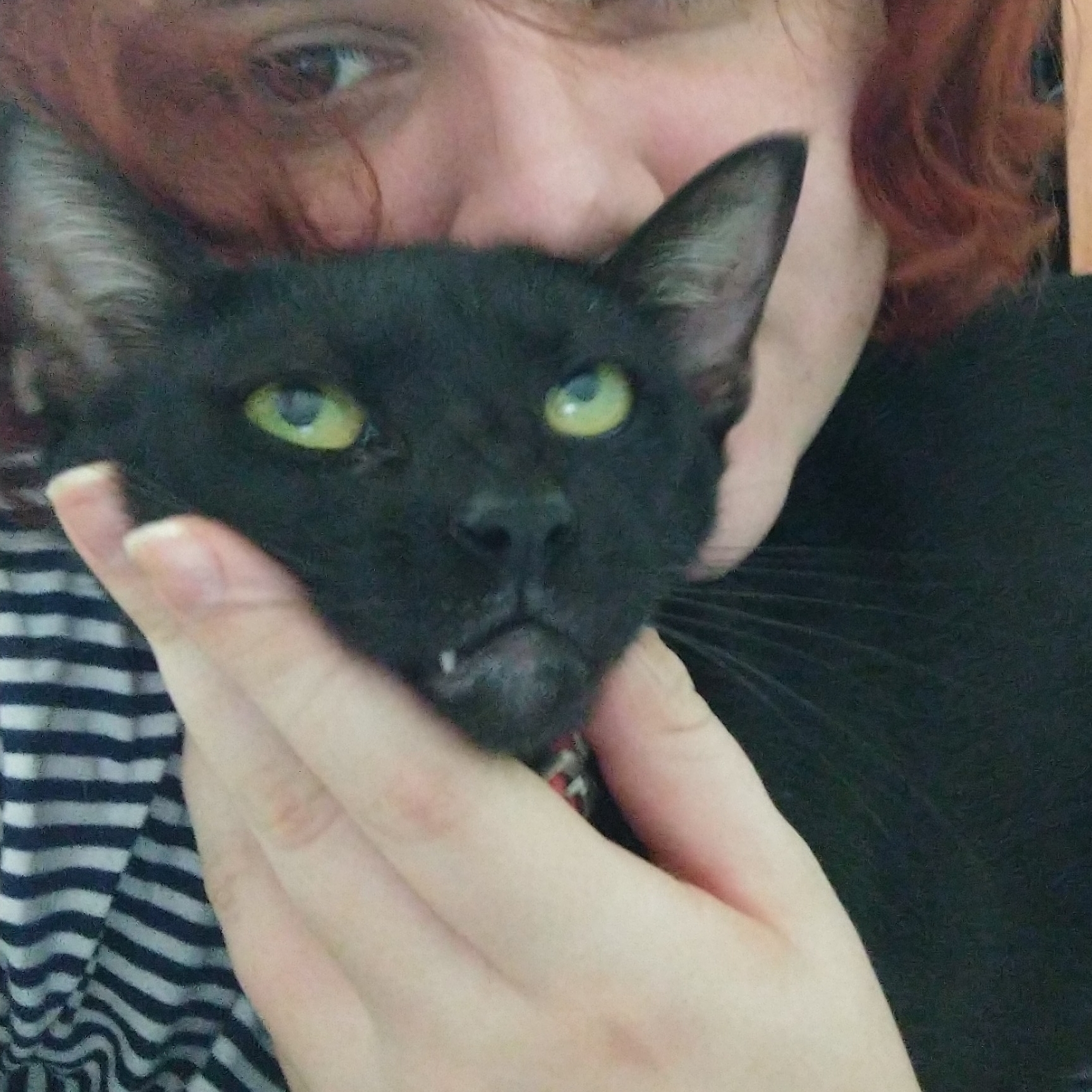 Nega flor  Anna Clara Cabral