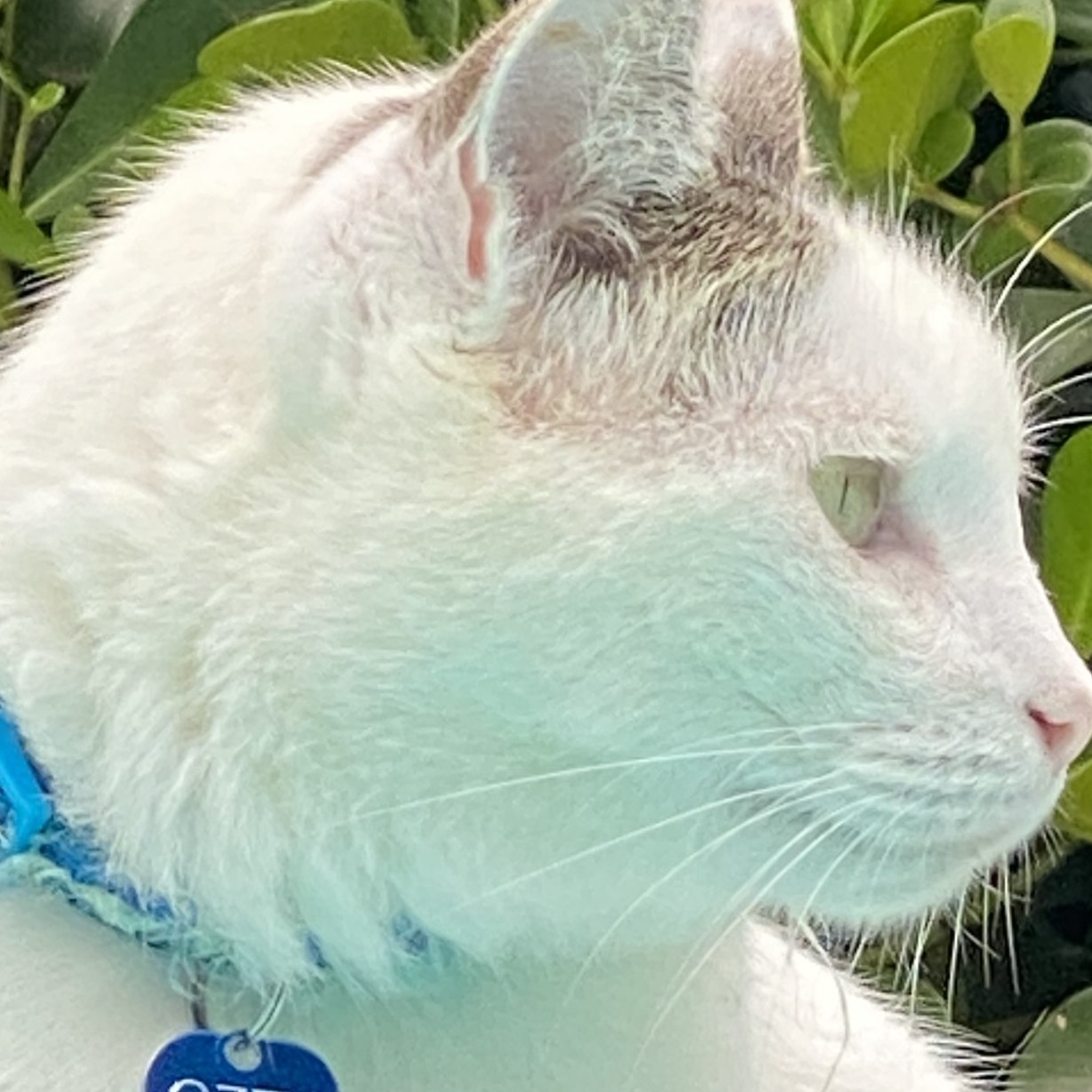 Ozzy Osbourne Regina 