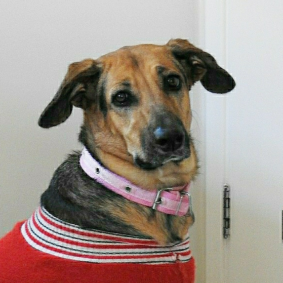 Gamora Fabiana Soares Suleiman