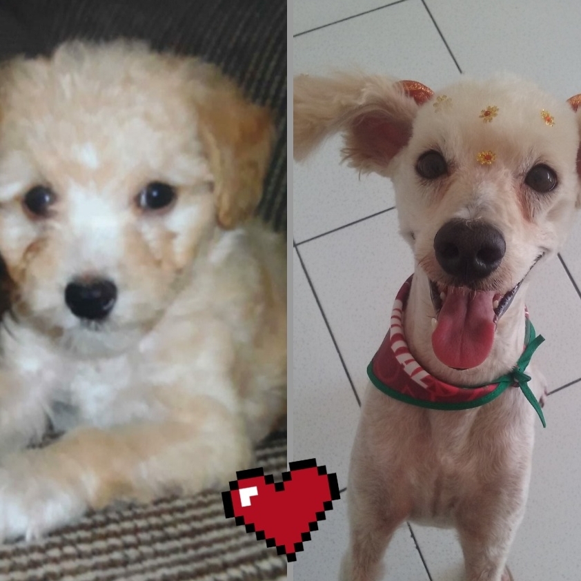 Chanty Antunes  Ana Paula Antunes 
