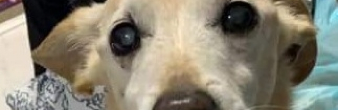 Floquinho Marlene e Edson 