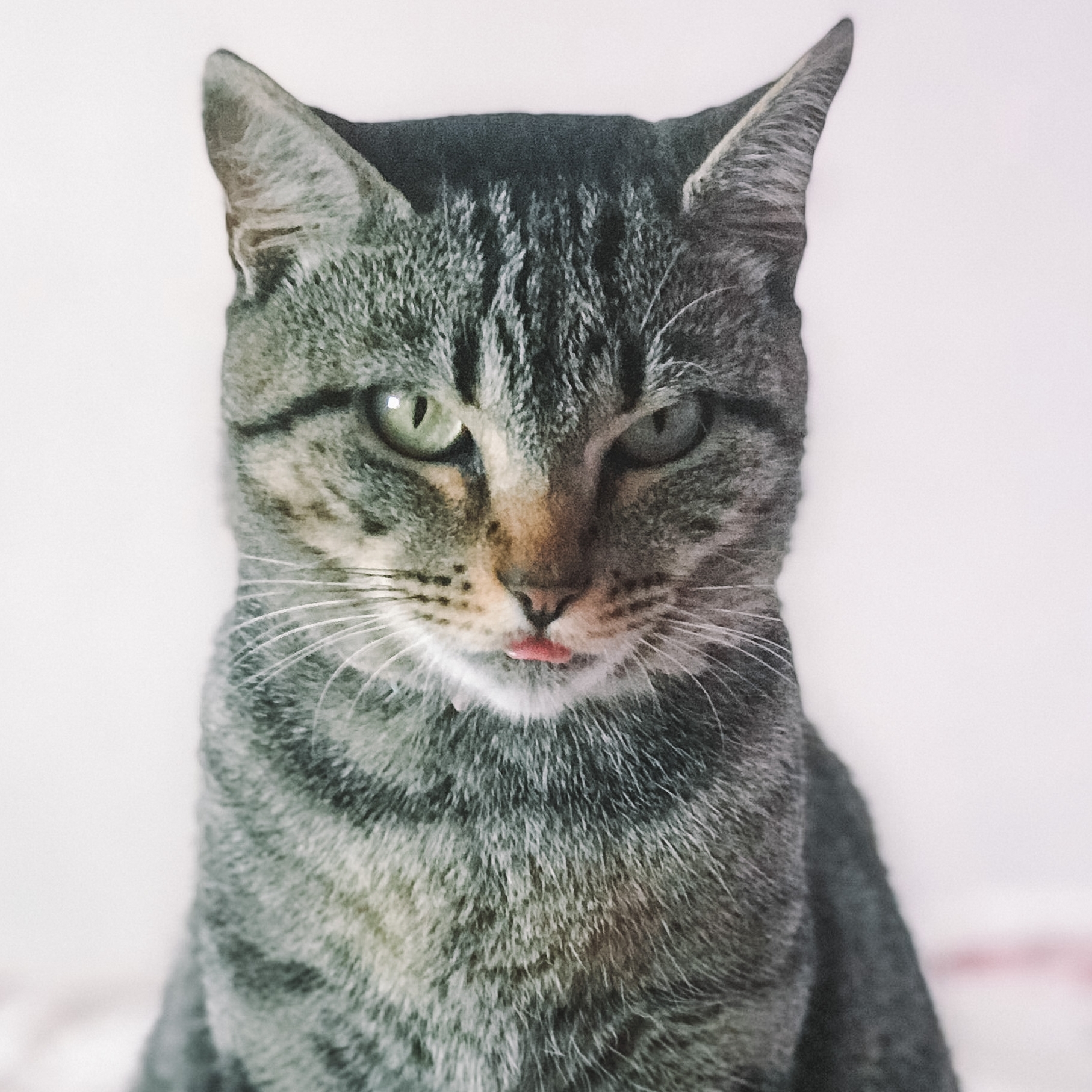 Kylie Camila Nabosne