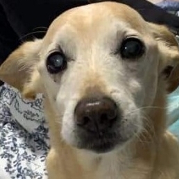 Floquinho  Marlene e Edson 