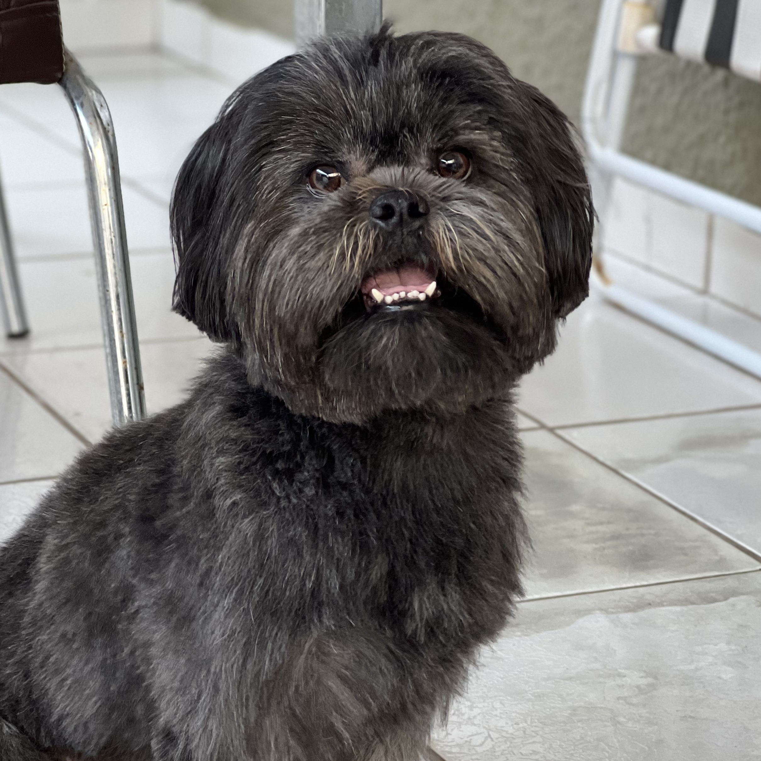 Apolo Eskarlate e Rafael