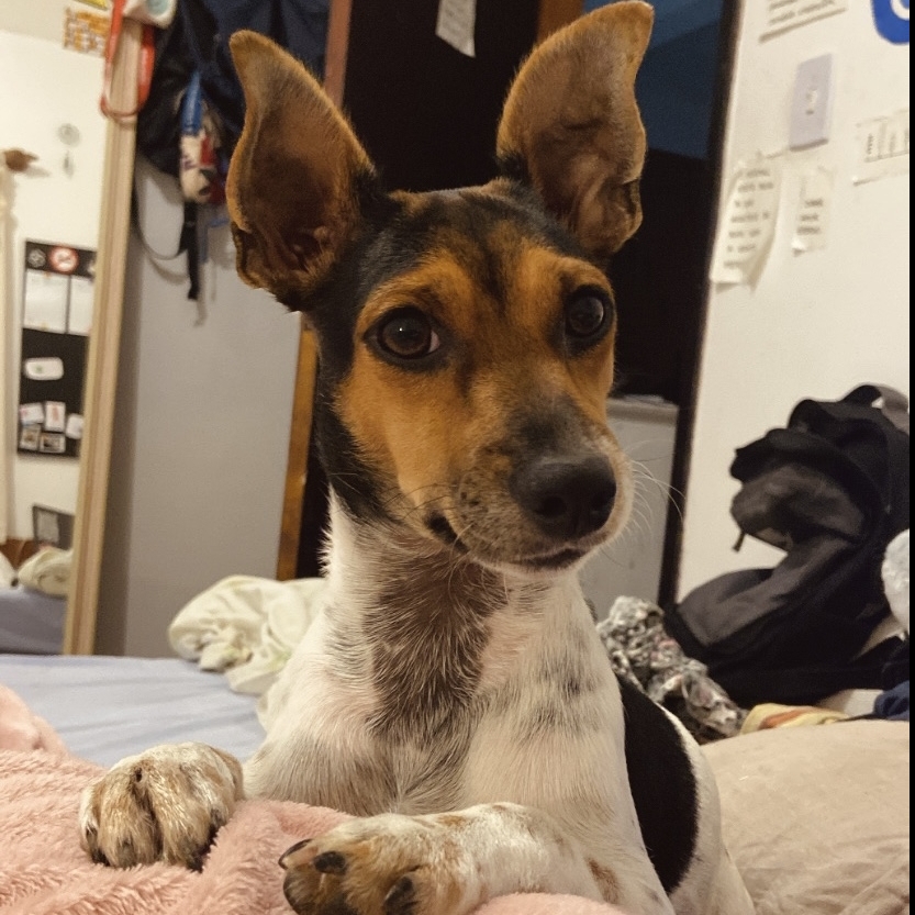 Pandora Vit&oacute;ria Mendes Costa