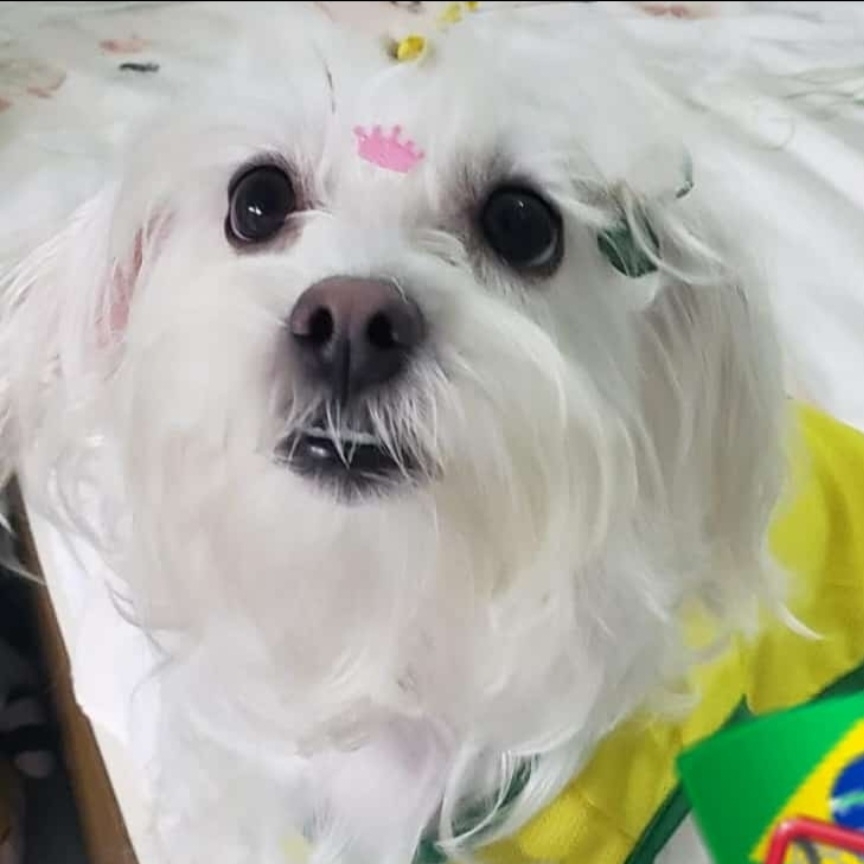Laurinha  Valquiria 