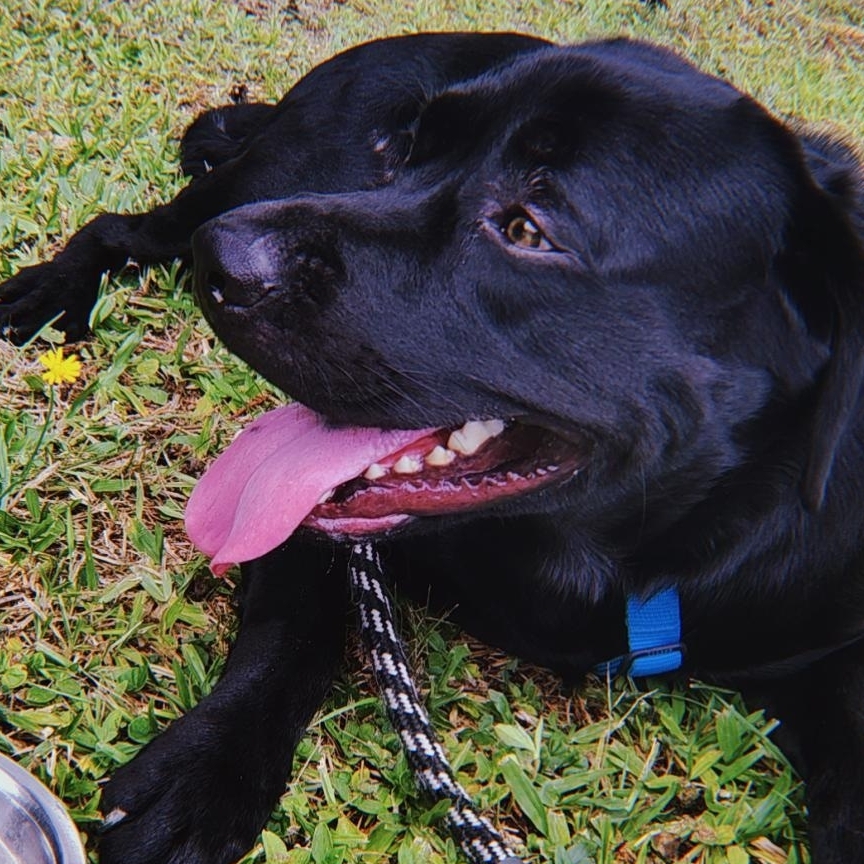 Odin Rafaela Goulart 