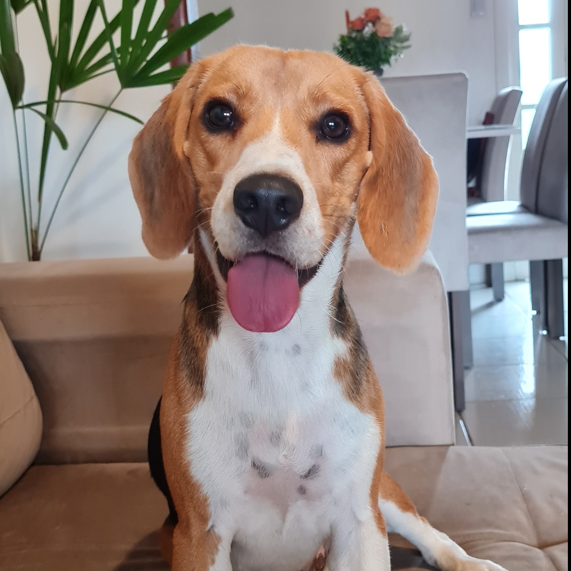 Oliver Isabella