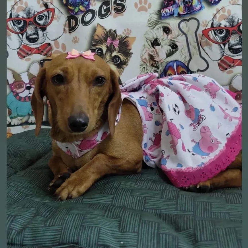 -Pandora  Isabela Amaral 