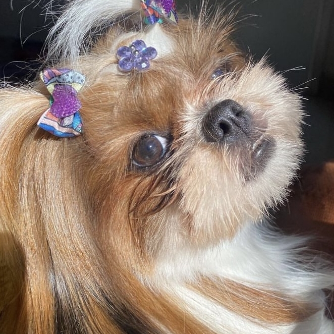Nina  Ana Paula Bellettini