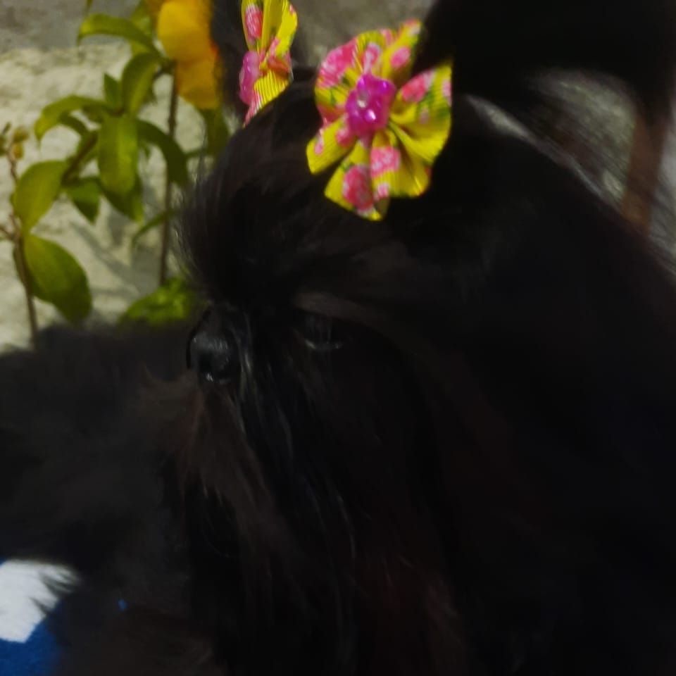 - 