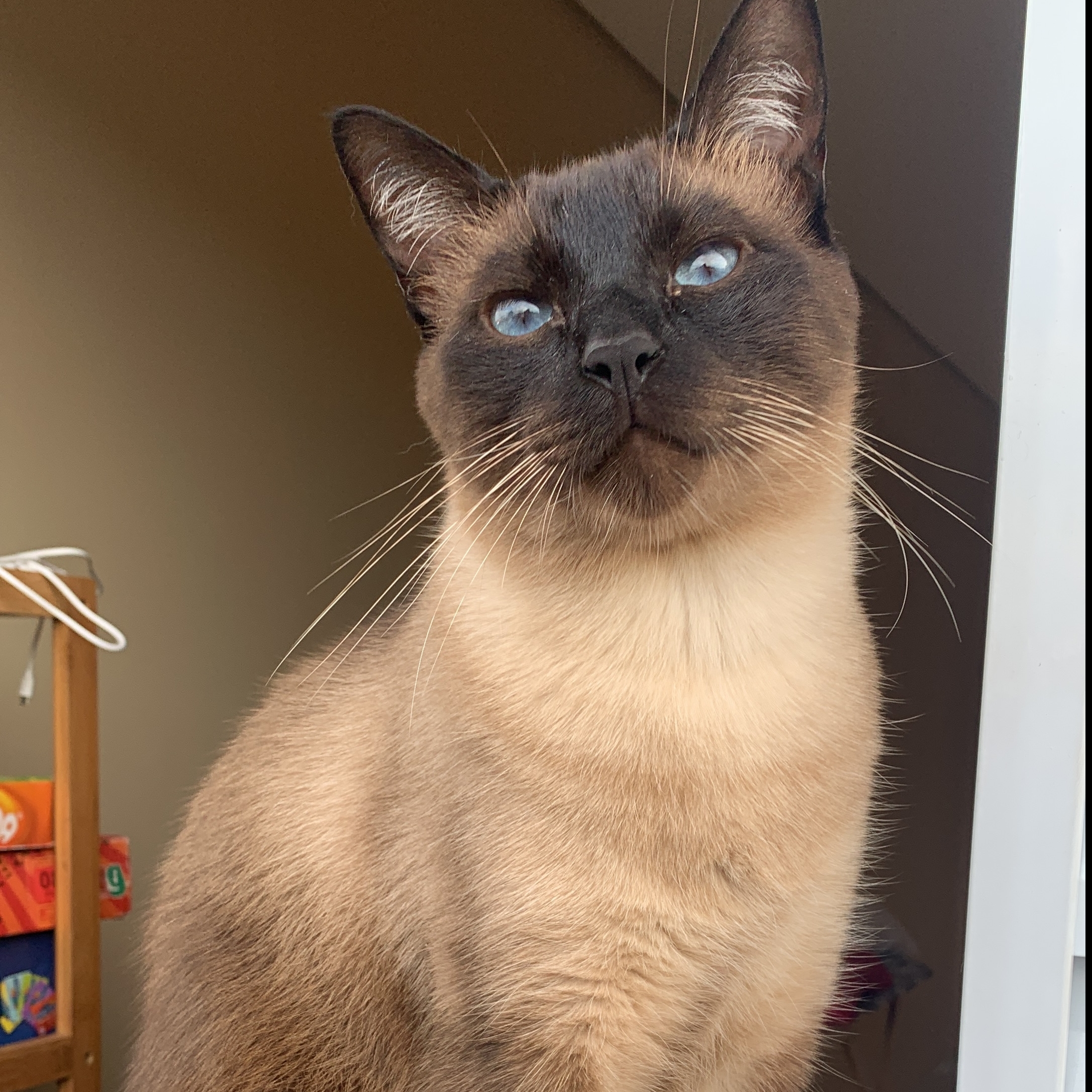 Cocada  Thain&aacute; 