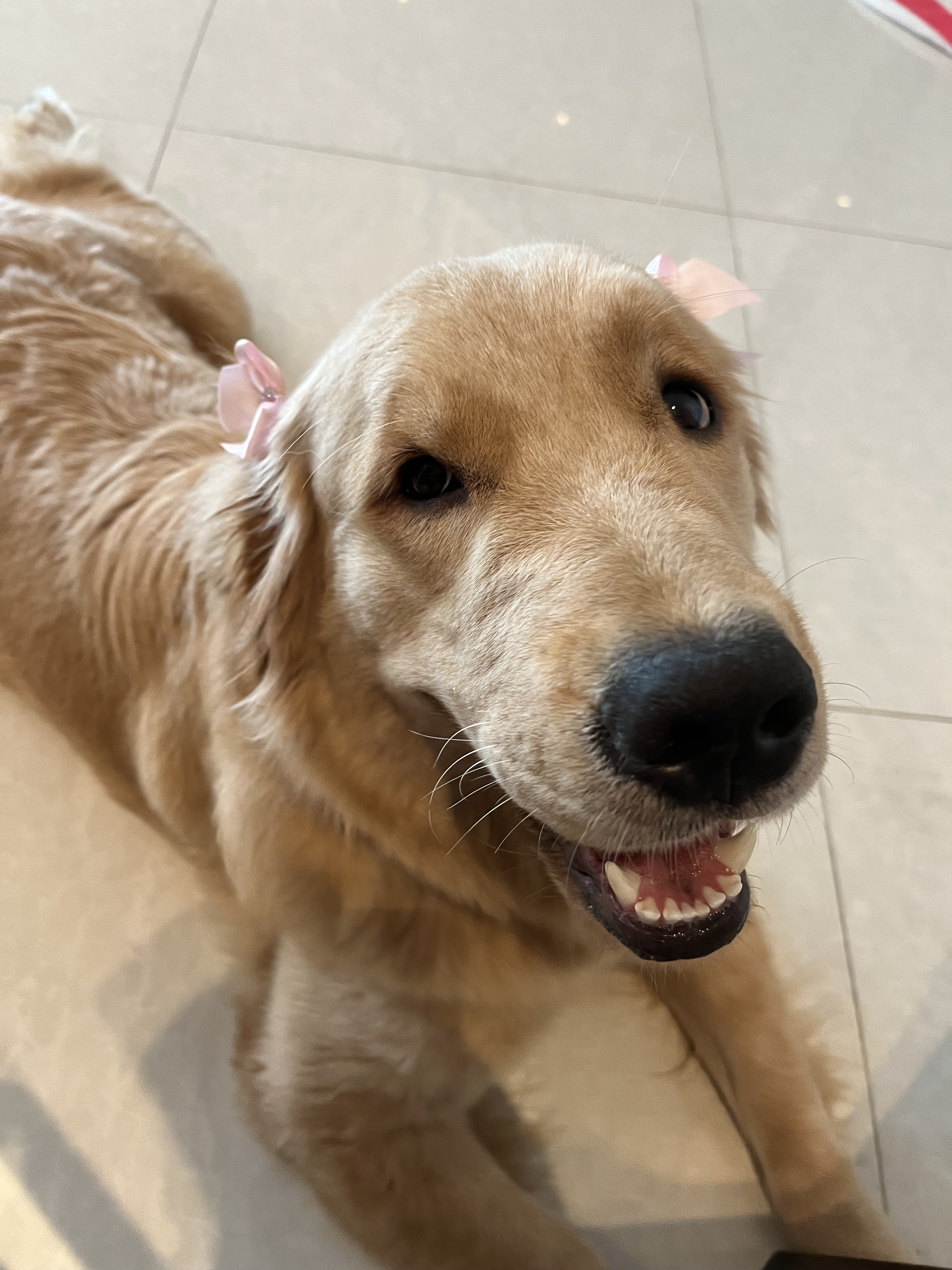 -Jade  Daniela Aveiro