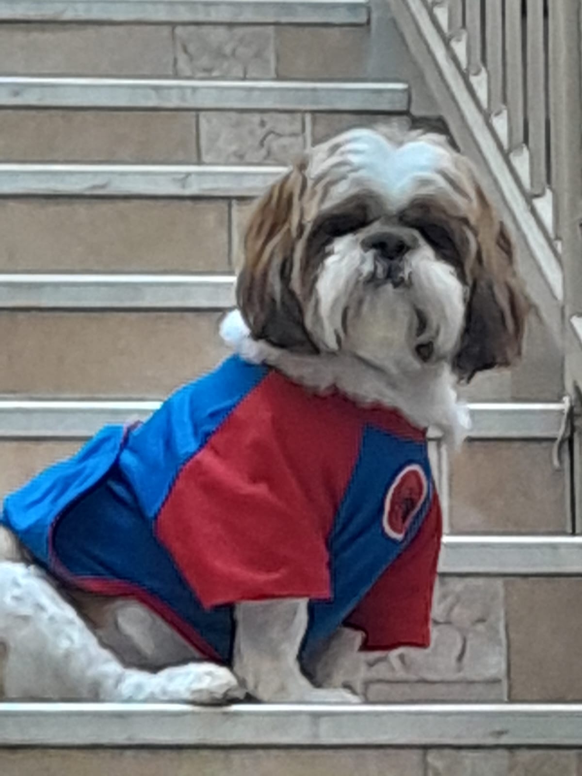 LUCKY DE MELLO  GIOVANNA DE MELLO 