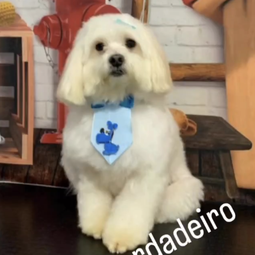Dudinho Evelyn Macedo 
